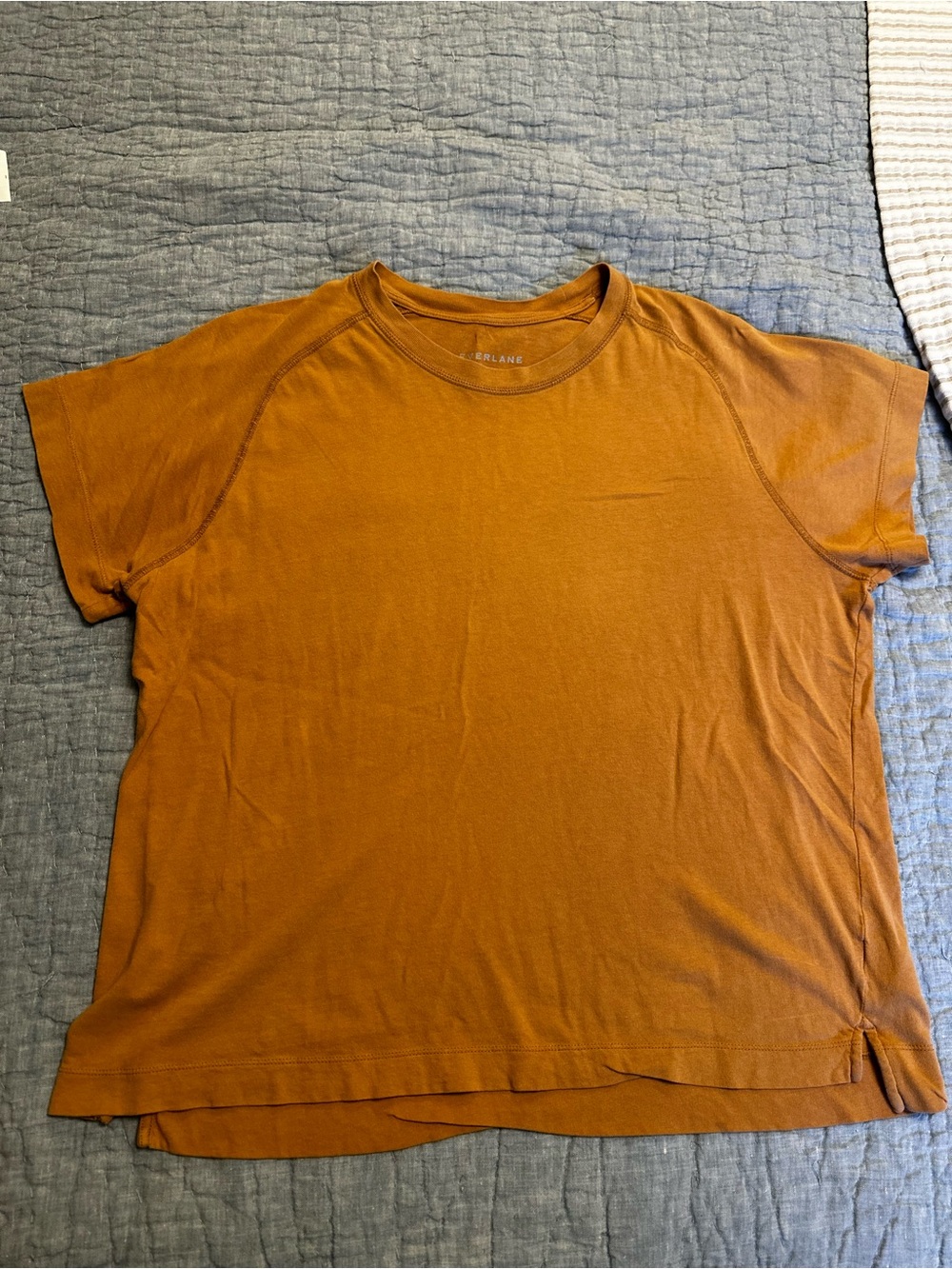 Everlane Women’s 100% Cotton Short Sleeve Crew in Rust Brown